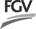 La imagen muestra el logo de FGV.